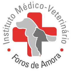 Logo HVFA